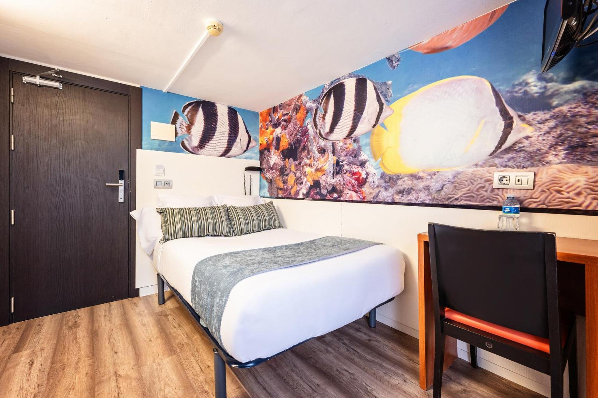Single Room Terrace